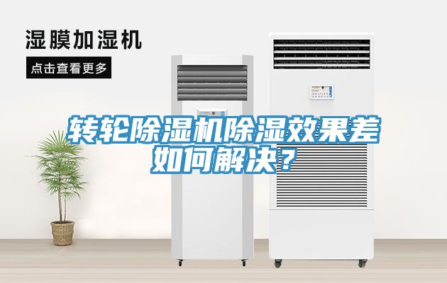 轉輪香蕉视频国产除濕效果差如何解決？