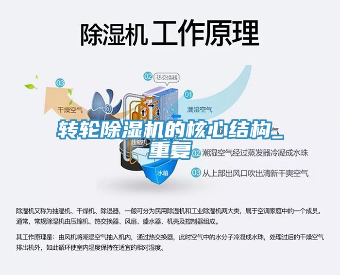 轉輪香蕉视频国产的核心結構_重複