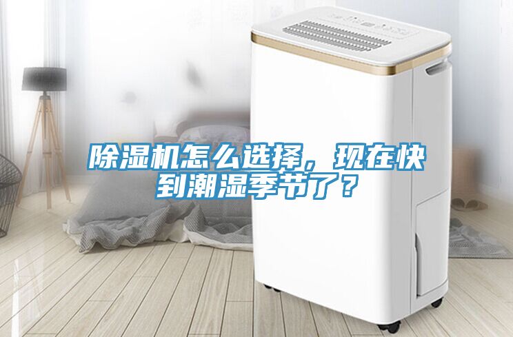 香蕉视频国产怎麽選擇，現在快到潮濕季節了？