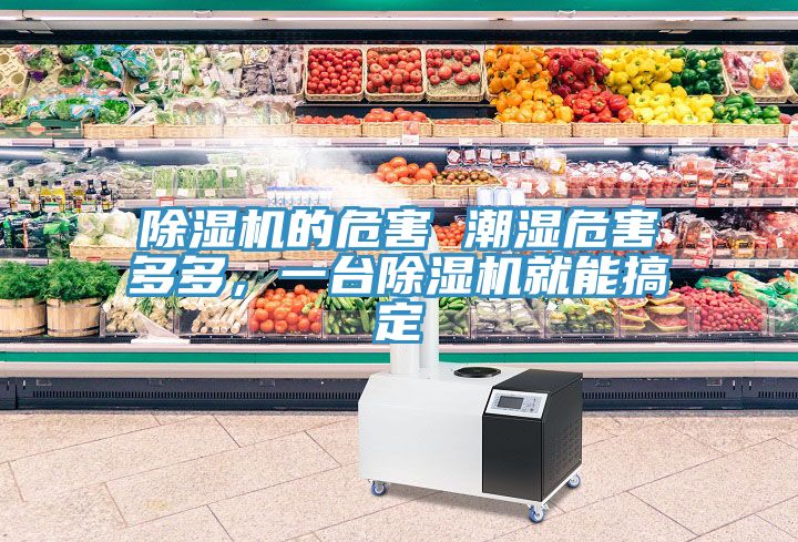 香蕉视频国产的危害 潮濕危害多多，一台香蕉视频国产就能搞定