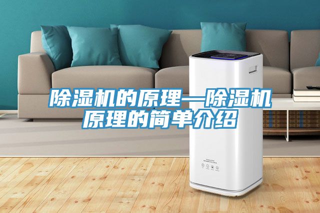 香蕉视频国产的原理—香蕉视频国产原理的簡單介紹