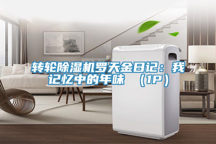 轉輪香蕉视频国产羅天金日記：我記憶中的年味 （1P）