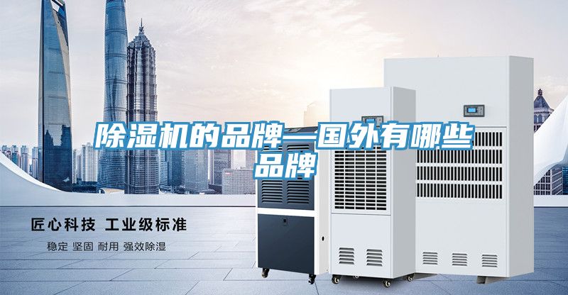 香蕉视频国产的品牌—國外有哪些品牌