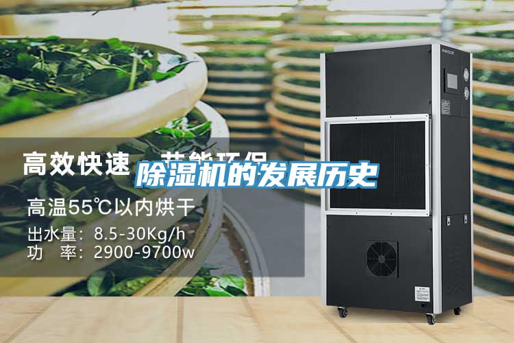 香蕉视频国产的發展曆史