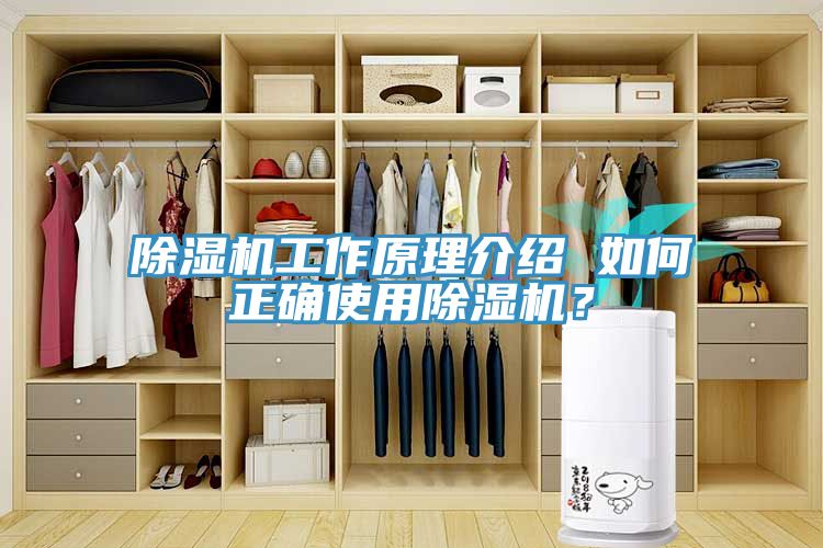 香蕉视频国产工作原理介紹 如何正確使用香蕉视频国产？