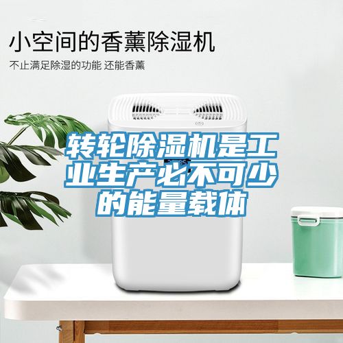 轉輪香蕉视频国产是工業生產必不可少的能量載體
