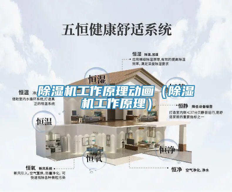 香蕉视频国产工作原理動畫（香蕉视频国产工作原理）