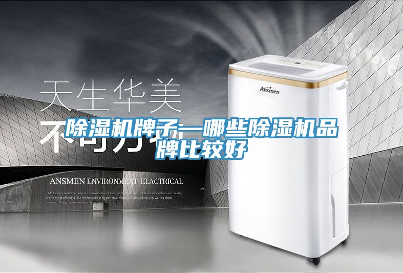 香蕉视频国产牌子—哪些香蕉视频国产品牌比較好