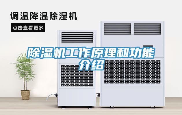香蕉视频国产工作原理和功能介紹