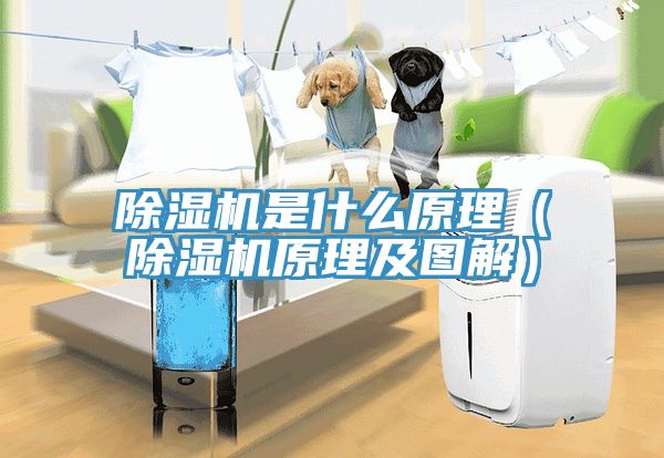 香蕉视频国产是什麽原理（香蕉视频国产原理及圖解）