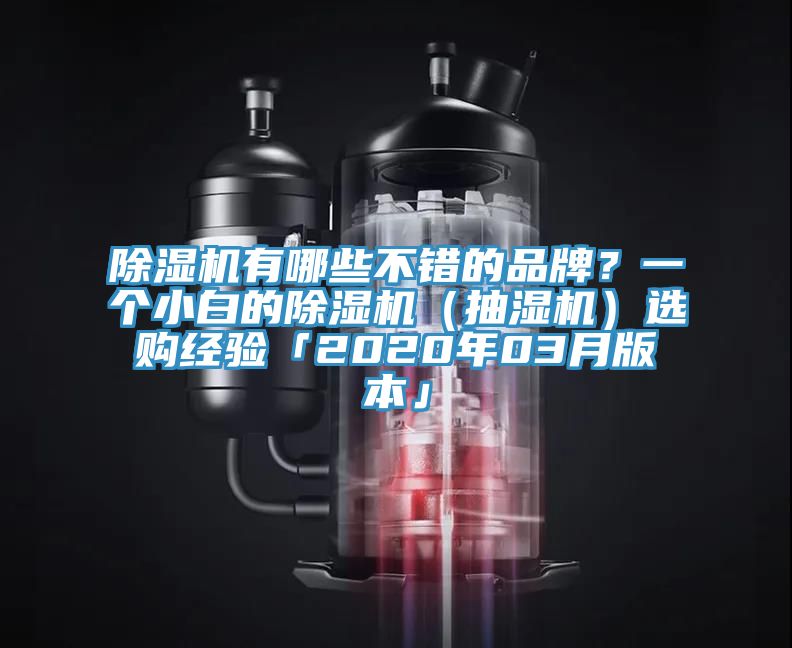 香蕉视频国产有哪些不錯的品牌？一個小白的香蕉视频国产（抽濕機）選購經驗「2020年03月版本」
