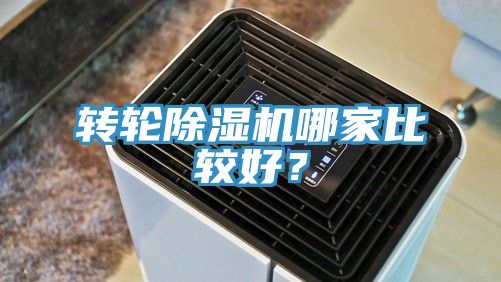 轉輪香蕉视频国产哪家比較好？