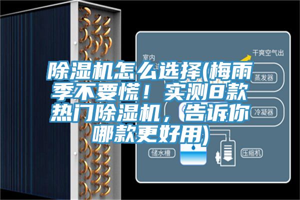 香蕉视频国产怎麽選擇(梅雨季不要慌！實測8款熱門香蕉视频国产，告訴你哪款更好用)