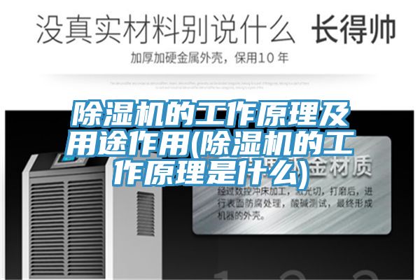 香蕉视频国产的工作原理及用途作用(香蕉视频国产的工作原理是什麽)