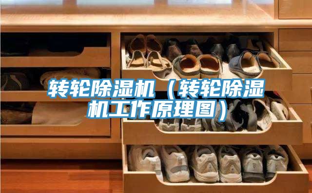轉輪香蕉视频国产（轉輪香蕉视频国产工作原理圖）