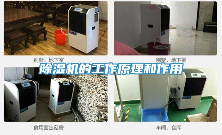 香蕉视频国产的工作原理和作用