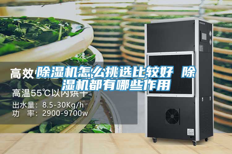 香蕉视频国产怎麽挑選比較好 香蕉视频国产都有哪些作用