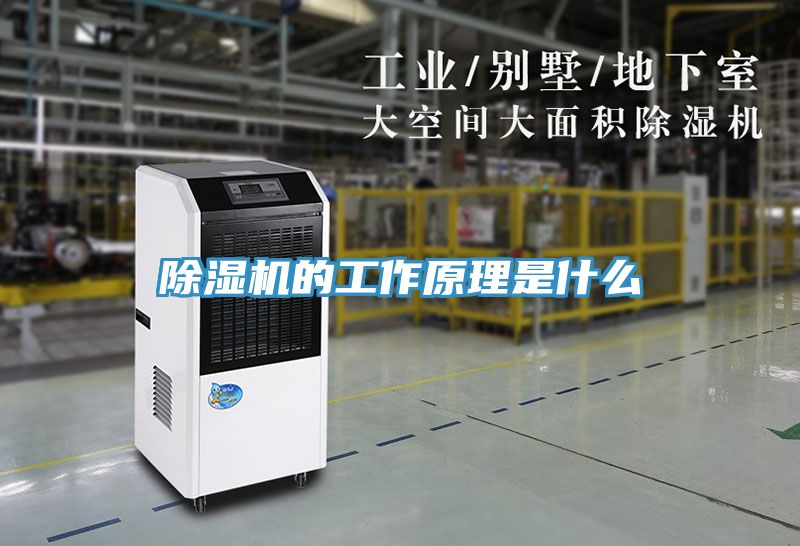 香蕉视频国产的工作原理是什麽