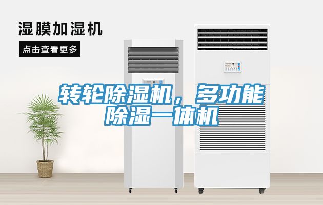 轉輪香蕉视频国产，多功能除濕一體機