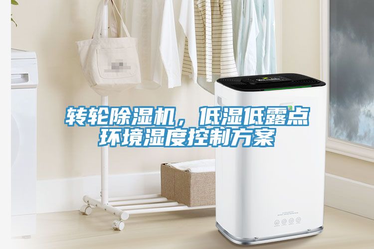 轉輪香蕉视频国产，低濕低露點環境濕度控製方案