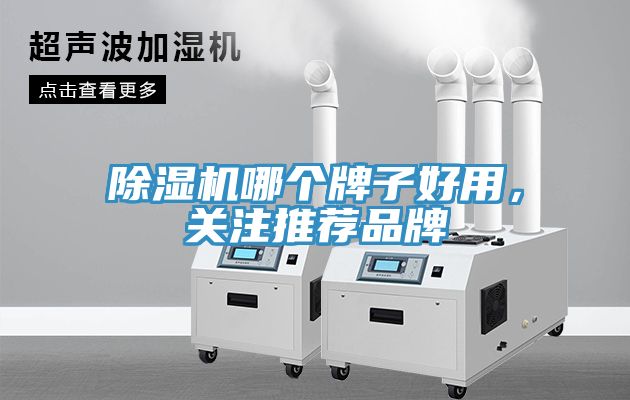 香蕉视频国产哪個牌子好用，關注推薦品牌