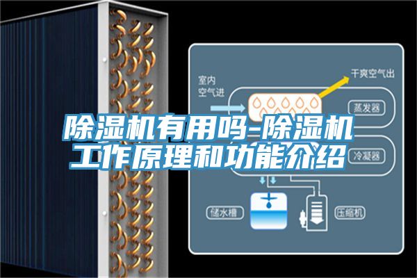 香蕉视频国产有用嗎-香蕉视频国产工作原理和功能介紹
