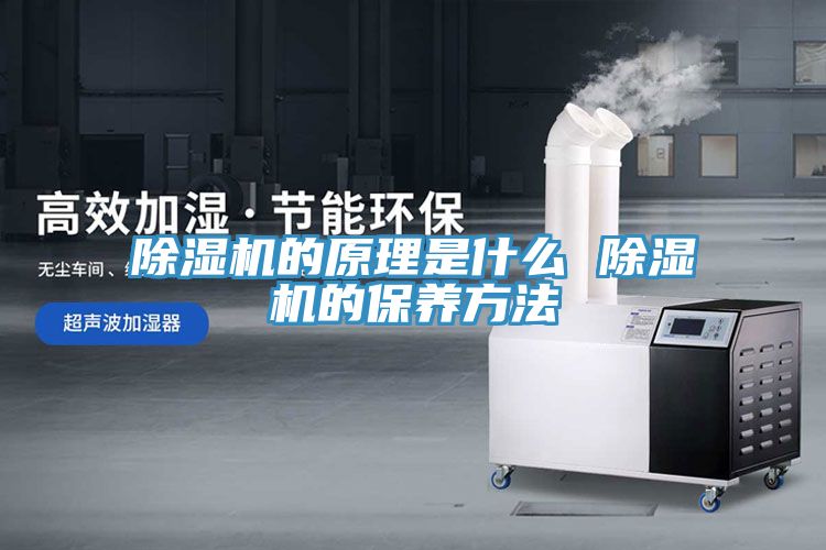 香蕉视频国产的原理是什麽 香蕉视频国产的保養方法