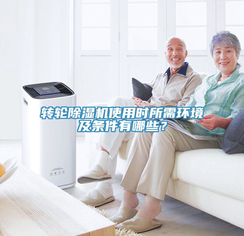 轉輪香蕉视频国产使用時所需環境及條件有哪些？