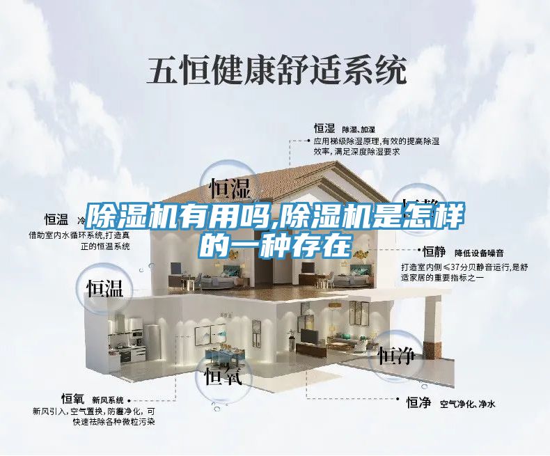 香蕉视频国产有用嗎,香蕉视频国产是怎樣的一種存在