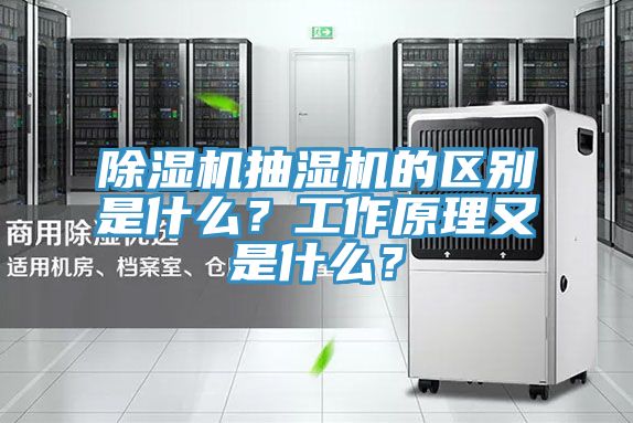 香蕉视频国产抽濕機的區別是什麽？工作原理又是什麽？