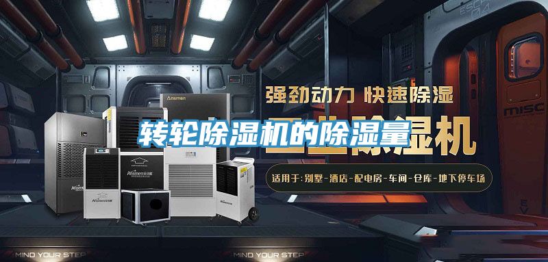 轉輪香蕉视频国产的除濕量