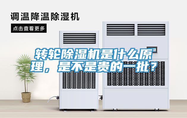 轉輪香蕉视频国产是什麽原理，是不是貴的一批？