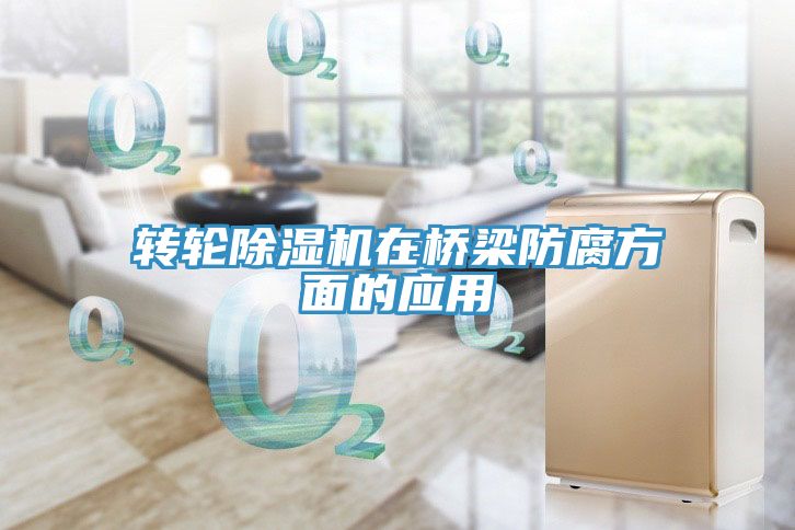 轉輪香蕉视频国产在橋梁防腐方麵的應用