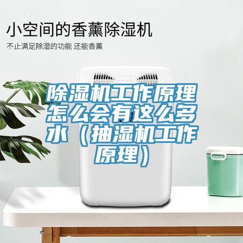 香蕉视频国产工作原理怎麽會有這麽多水（抽濕機工作原理）