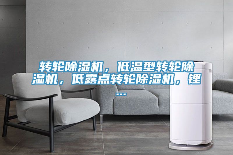 轉輪香蕉视频国产，低溫型轉輪香蕉视频国产，低露點轉輪香蕉视频国产，鋰 ...