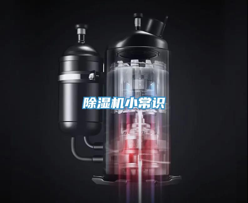 香蕉视频国产小常識
