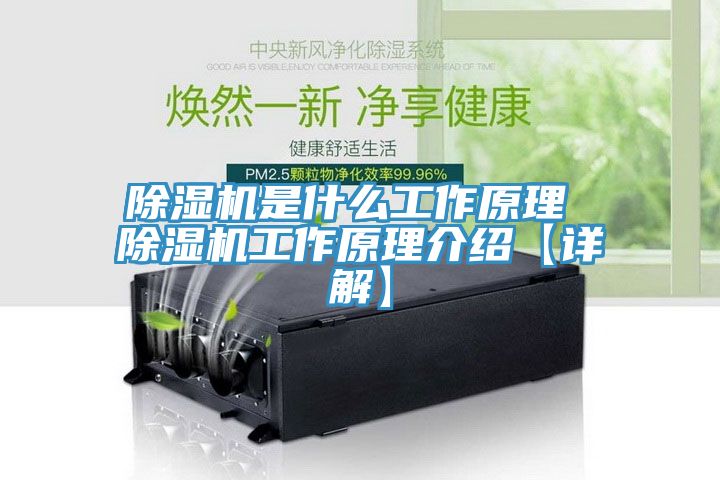 香蕉视频国产是什麽工作原理 香蕉视频国产工作原理介紹【詳解】