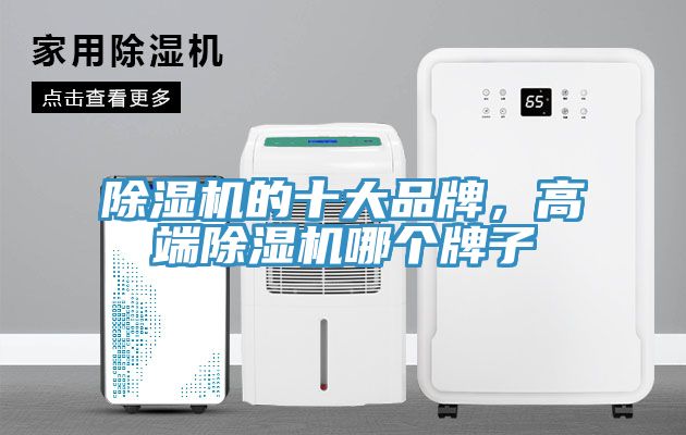 香蕉视频国产的十大品牌，高端香蕉视频国产哪個牌子