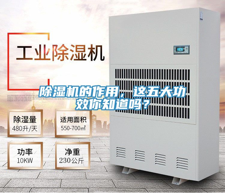 香蕉视频国产的作用，這五大功效你知道嗎？