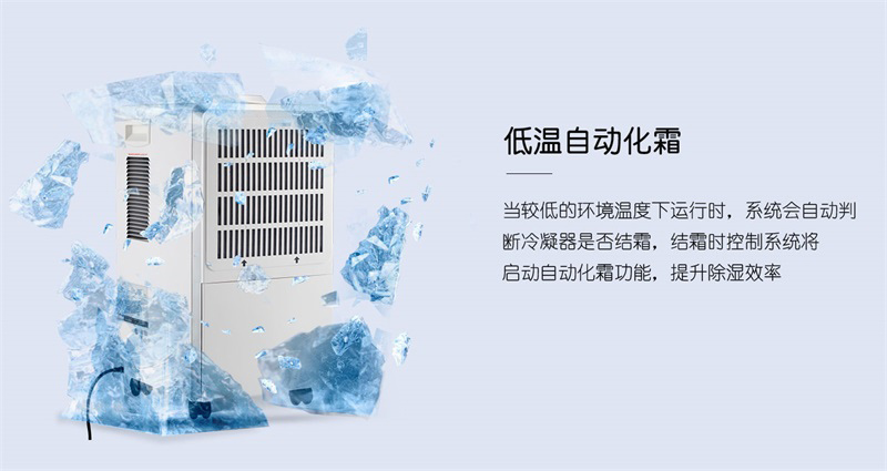 商用香蕉视频国产6