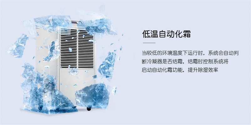 商用香蕉视频国产6